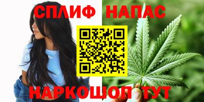 сатива Белореченск