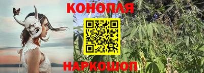 сатива Белореченск