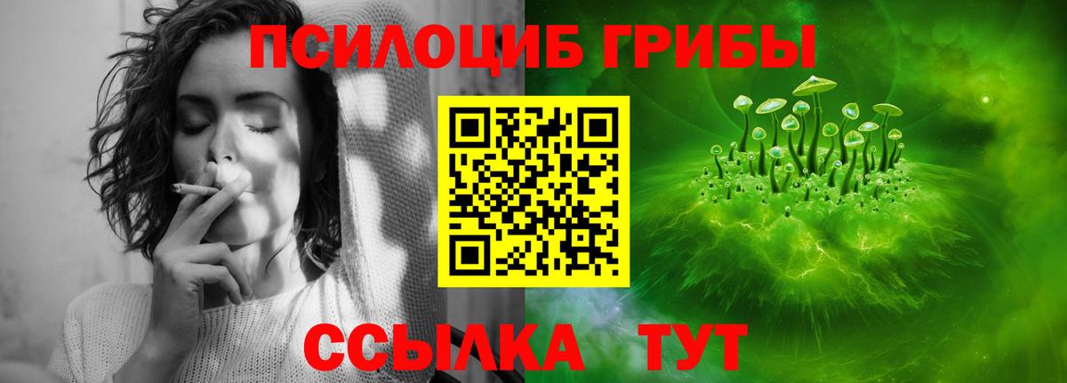 Псилоцибиновые грибы прущие грибы Каспийск